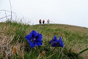 15 Saliamo al Monte Collino